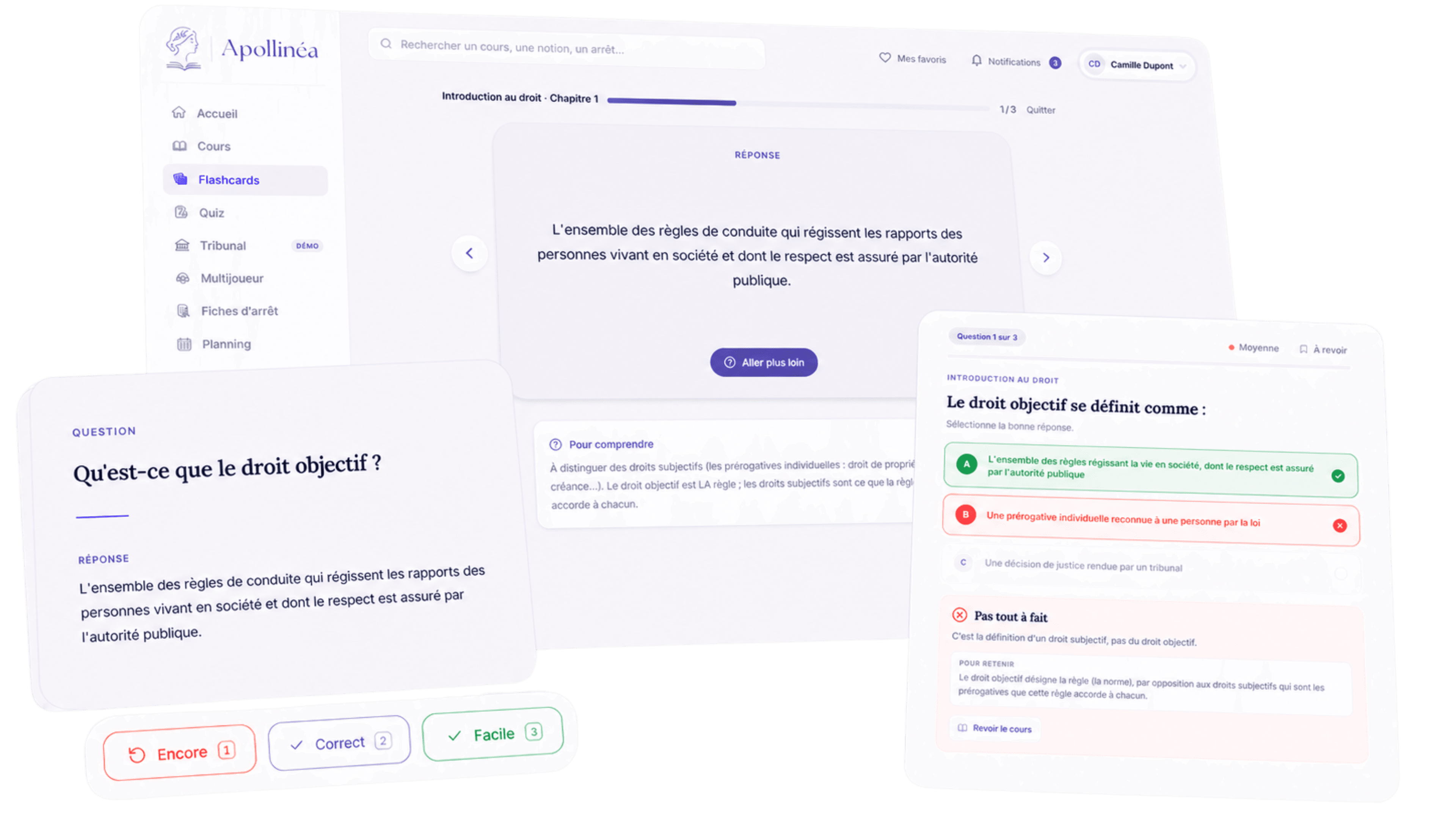 Flashcards Apollinéa avec niveaux de mémorisation et quiz corrigé